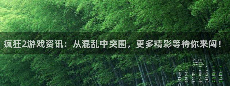 蓝冠娱乐平台官方网站：疯狂2游戏资讯：从混乱中突围，更多精彩