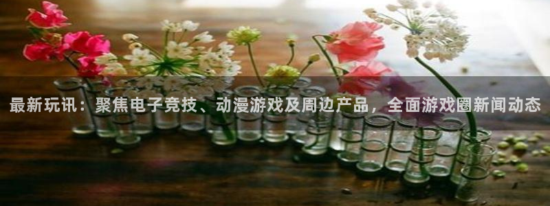 蓝冠娱乐登录：最新玩讯：聚焦电子竞技、动漫游戏及周边产品，全