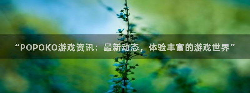 蓝冠娱乐注册登录：“POPOKO游戏资讯：最新动态，体验丰富