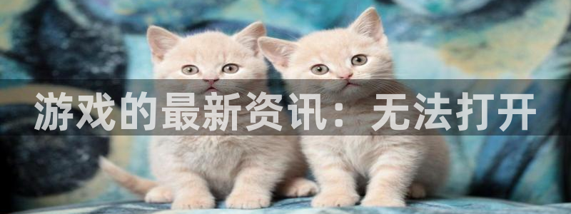 蓝冠娱乐什么意思：游戏的最新资讯：无法打开