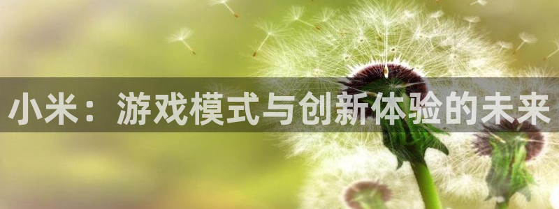 蓝冠娱乐娱乐：小米：游戏模式与创新体验的未来