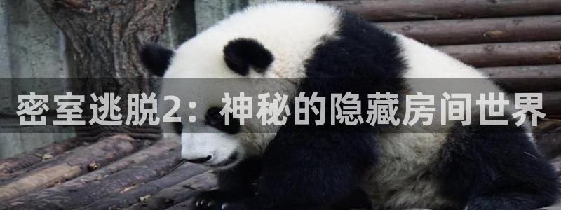 蓝冠娱乐网址官网：密室逃脱2：神秘的隐藏房间世界