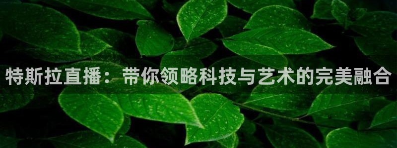 51视频在线直播nba