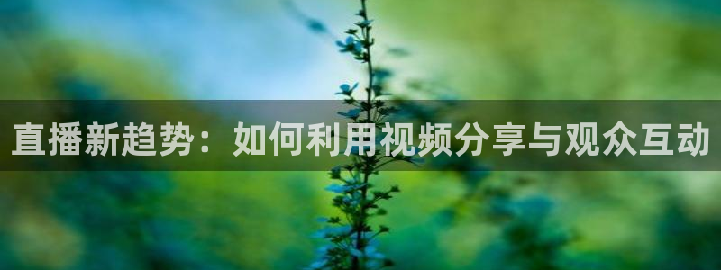 51视频在线直播nba
