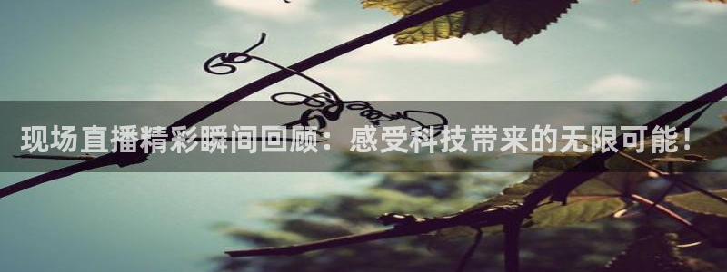 51视频在线直播nba：现场直播精彩瞬间回顾：感受科技带来的无限可能！