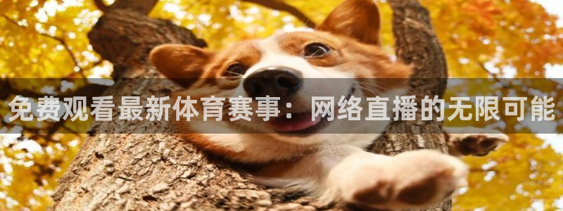 51视频在线直播nba：免费观看最新体育赛事：网络直播的无限可能