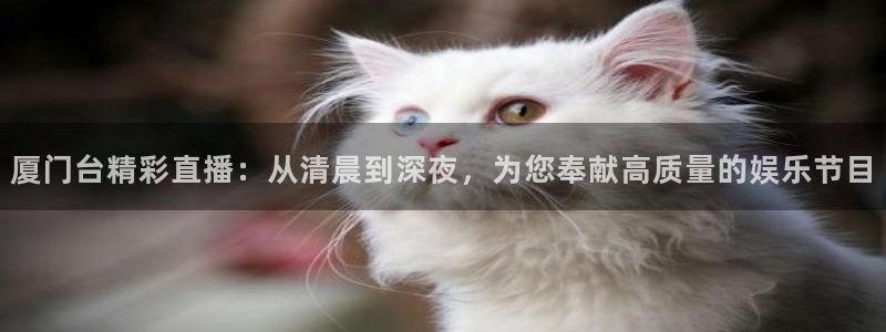 51视频在线直播nba：厦门台精彩直播：从清晨到深夜，为您奉献高质量的娱乐节目