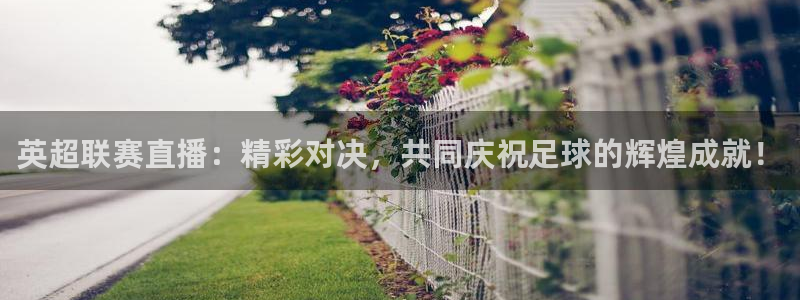 51视频在线直播nba：英超联赛直播：精彩对决，共同庆祝足球的辉煌成就！