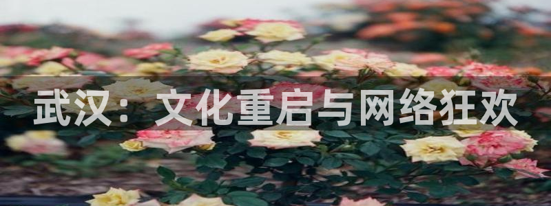 51视频在线直播nba：武汉：文化重启与网络狂欢