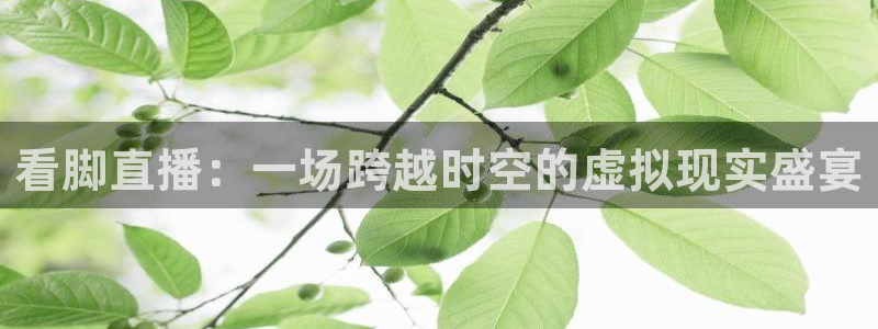 51视频在线直播nba：看脚直播：一场跨越时空的虚拟现实盛宴